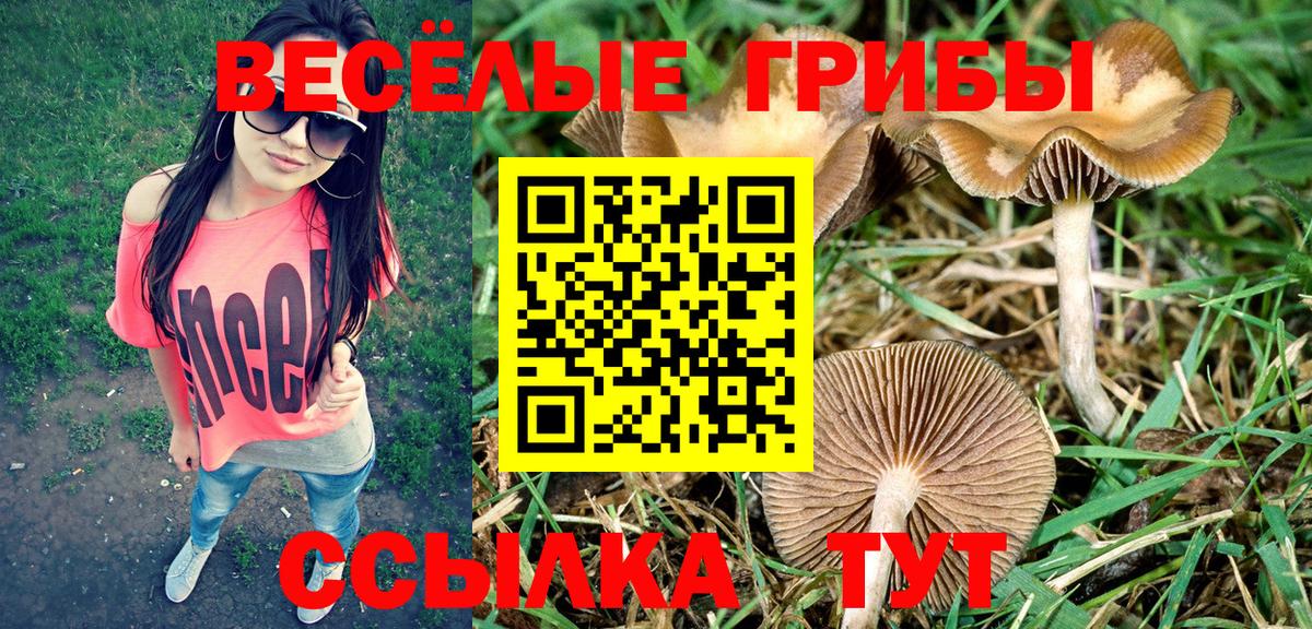 Псилоцибиновые грибы Psilocybine cubensis  Вход с VPN  Обнинск 